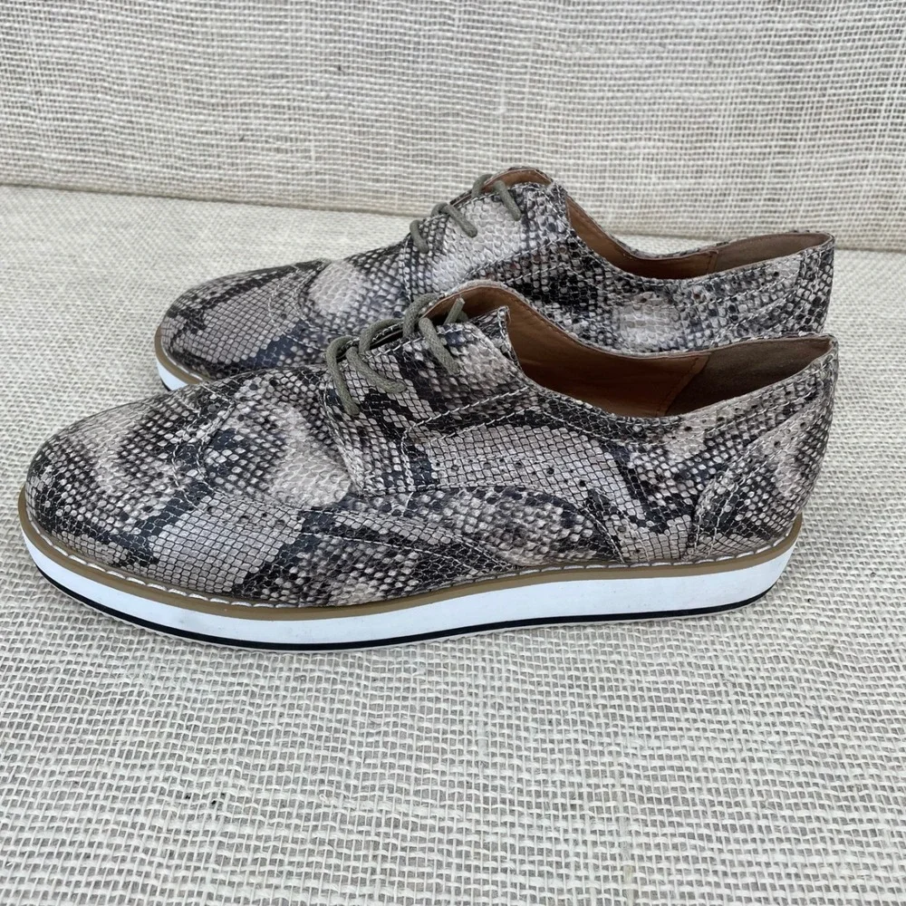 ShoeDazzle Miriam Snakeskin Wingtip Oxford Platform Shoes Grey Brown Womens 8.5